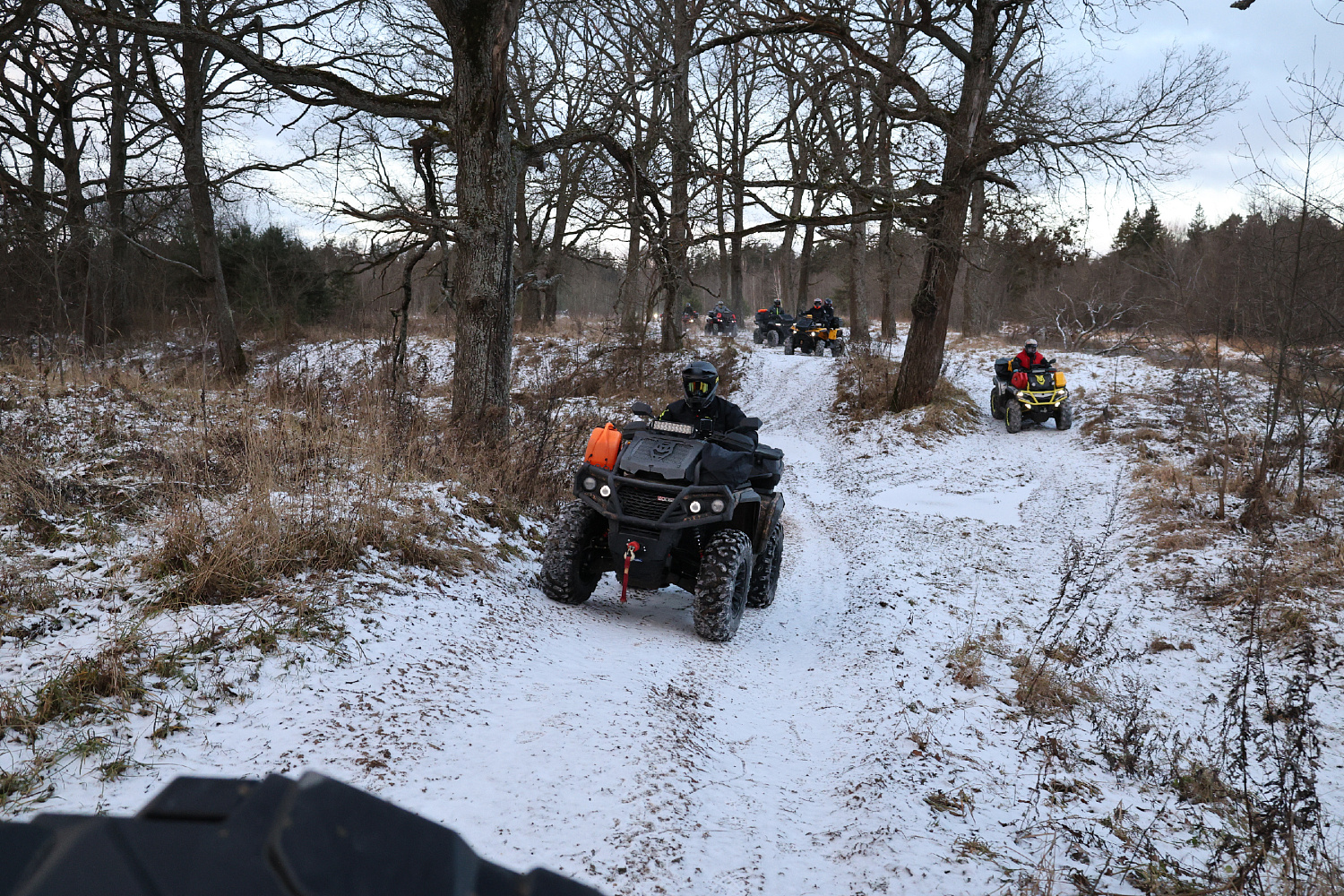 04.01.26 Анонс / Новогодняя покатушка / Бесплатный заезд